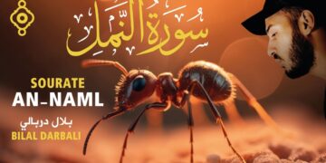ورة النمل🐜 كاملة تلاوة هادئة 😴 – بلال دربالي Sourate An-Naml – Bilal Darbali Récitation Relaxante
