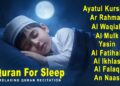 Soothing Quran for Deep Sleep | Fatiha, Ayatul Kursi, Rahman, Al-Mulk, Yasin, Al-Waqiah – Alaa Aqe