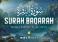 Surah Al Baqarah Full سورة البقره | Relaxing Calming & Heart Touching Quran