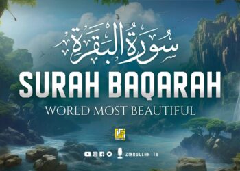 Surah Al Baqarah Full سورة البقره | Relaxing Calming & Heart Touching Quran