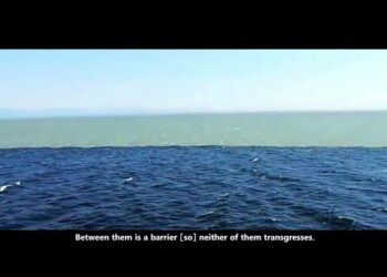 UNBELIEVABLE Voice – Surah Ar Rahman