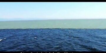 UNBELIEVABLE Voice – Surah Ar Rahman