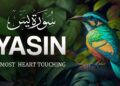 World’s most beautiful Quran recitation of Surah Yasin (Yaseen) سورة يس