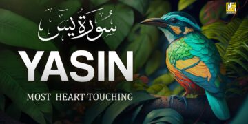 World’s most beautiful Quran recitation of Surah Yasin (Yaseen) سورة يس