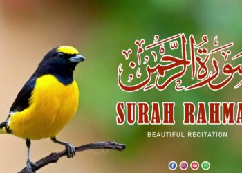 Surah Rahman- Quran Recitation By Qari Sadaqat Ali 