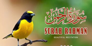 Surah Rahman- Quran Recitation By Qari Sadaqat Ali 