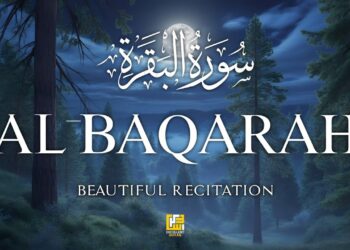 Surah Al-Baqarah (سورة البقره) | Powerful Quran Tilawat for Protection & Blessings | Alaa Aqel
